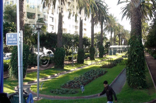 Public Gardens, Casablanca